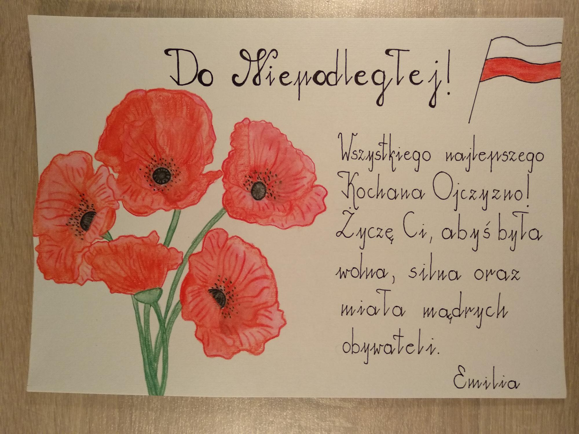 You are currently viewing Podsumowanie projektu “Telegram patriotyczny dla Niepodległej”