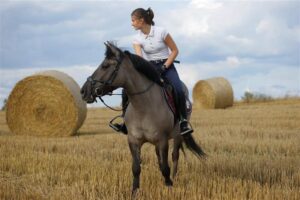 Read more about the article Aktywność fizyczna Nowodworczyków