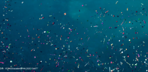 Read more about the article Nowodworek dla Przyszłości – tydzień drugi