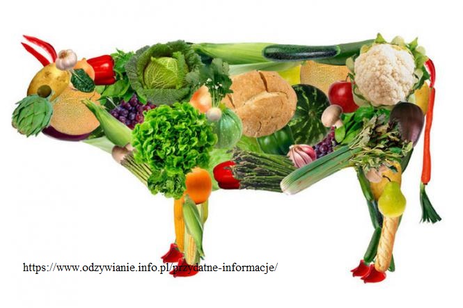 Read more about the article cd. Nowodworka dla Przyszłości – Tydzień WEGE