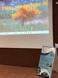 Read more about the article Spotkanie dla uczniów na temat przeciwdziałania przemocy w rodzinie