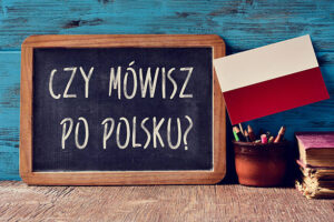 Read more about the article Dzień Mowy Ojczystej w Nowodworku