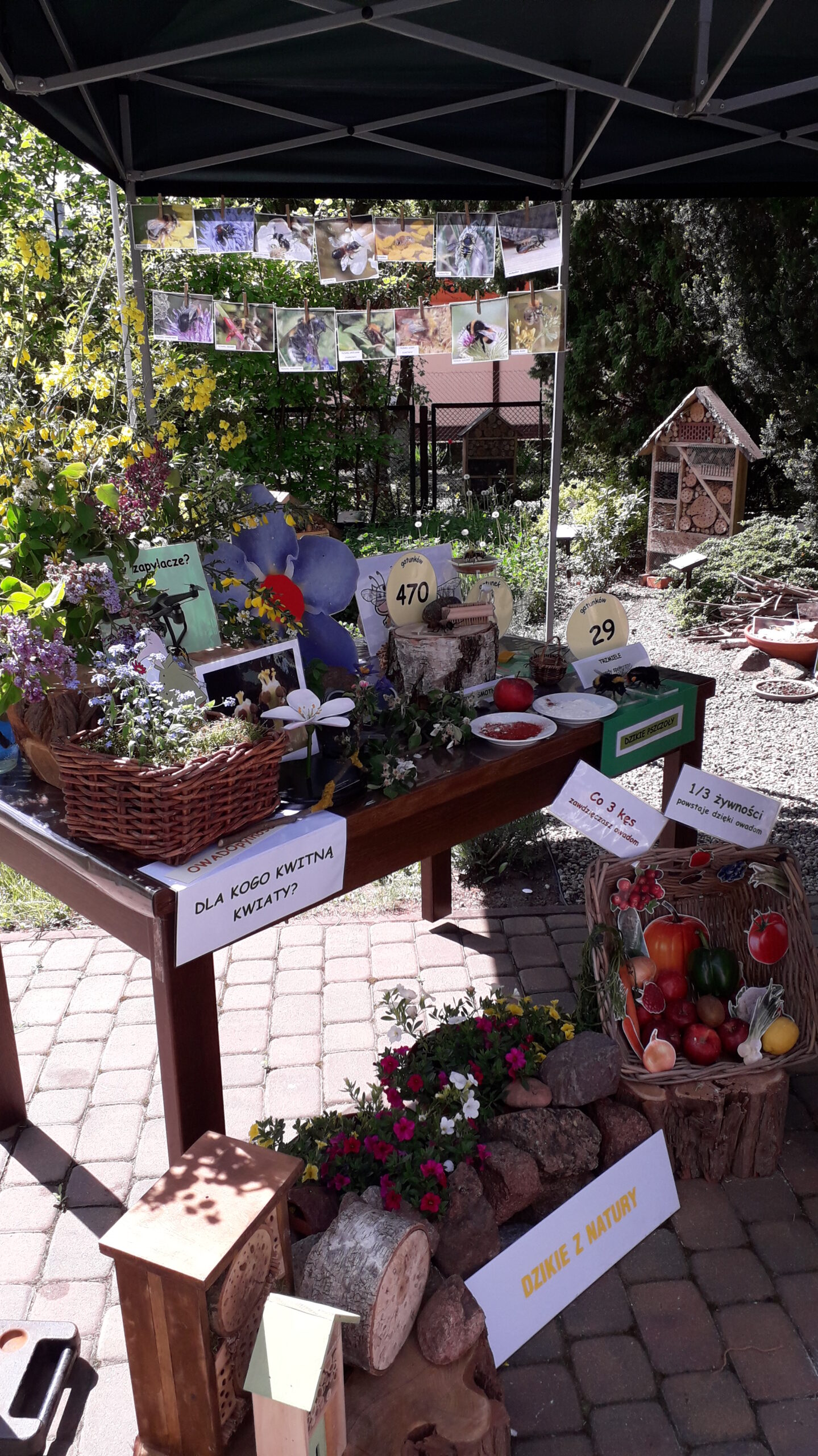 You are currently viewing Nowodworek bierze udział w happeningu zorganizowanym przez Tucholski Park Krajobrazowy