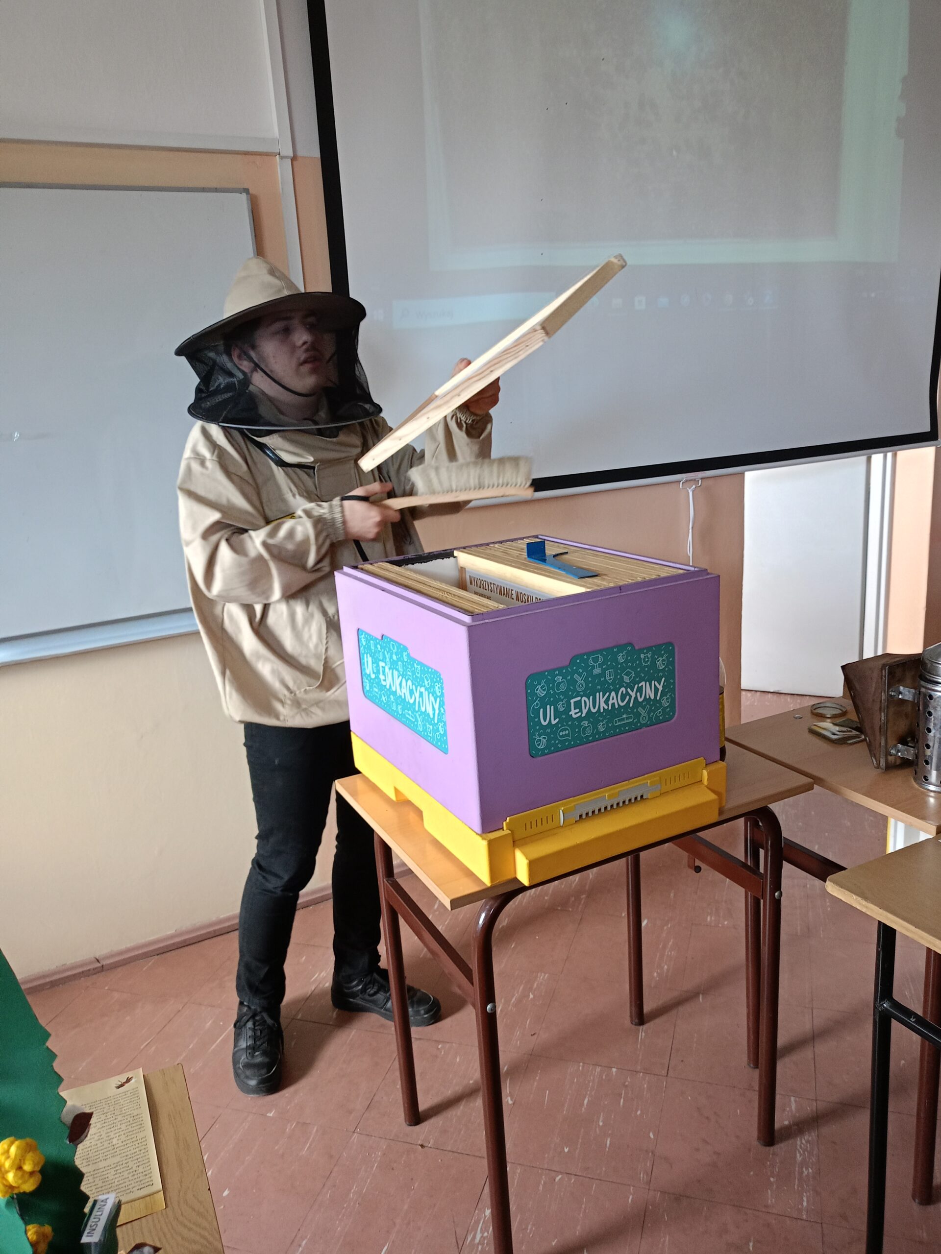 Read more about the article Kacper Kądziela – Niemczewski (klasa 4b) – nasz człowiek od pszczoły miodnej