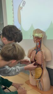 Read more about the article II Turniej Biologiczny