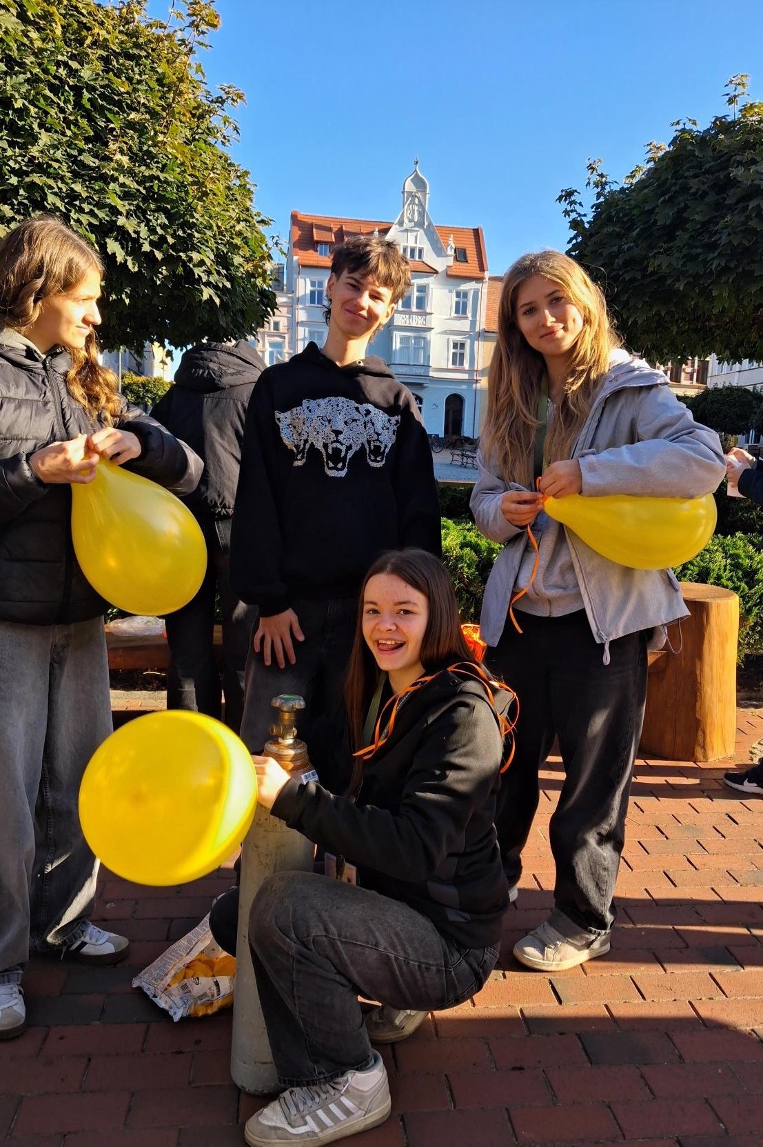 Read more about the article Sadzenie żonkili