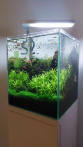 Read more about the article Badania biologiczne klas I