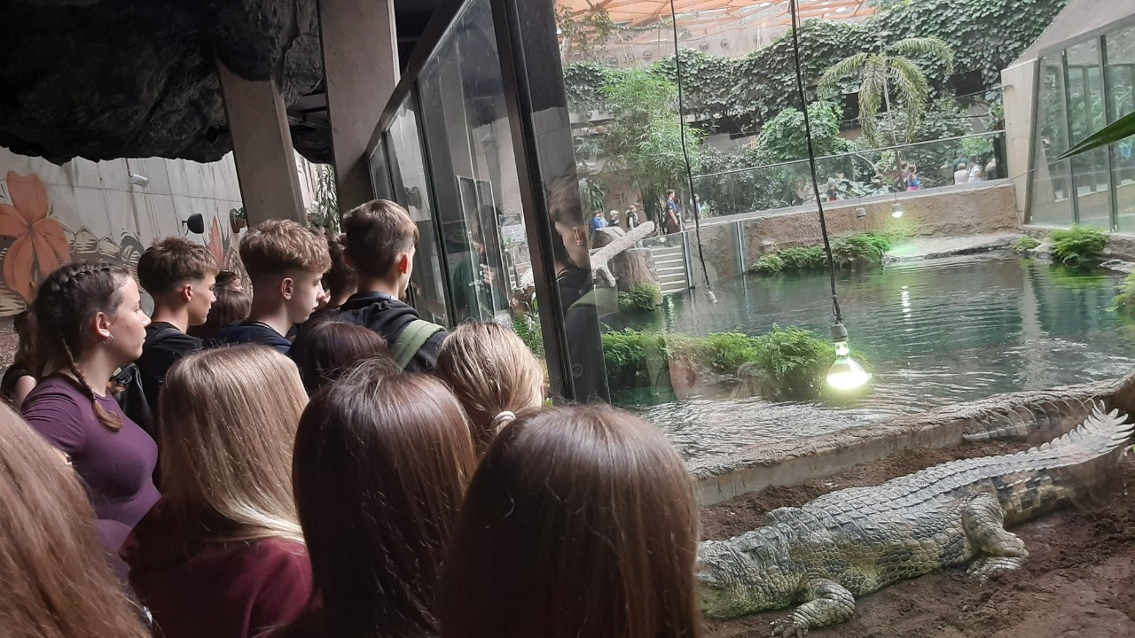 You are currently viewing Z biologią w Łodzi